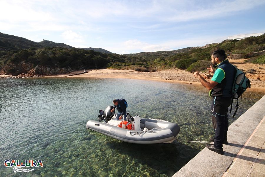 Isola di Spargi