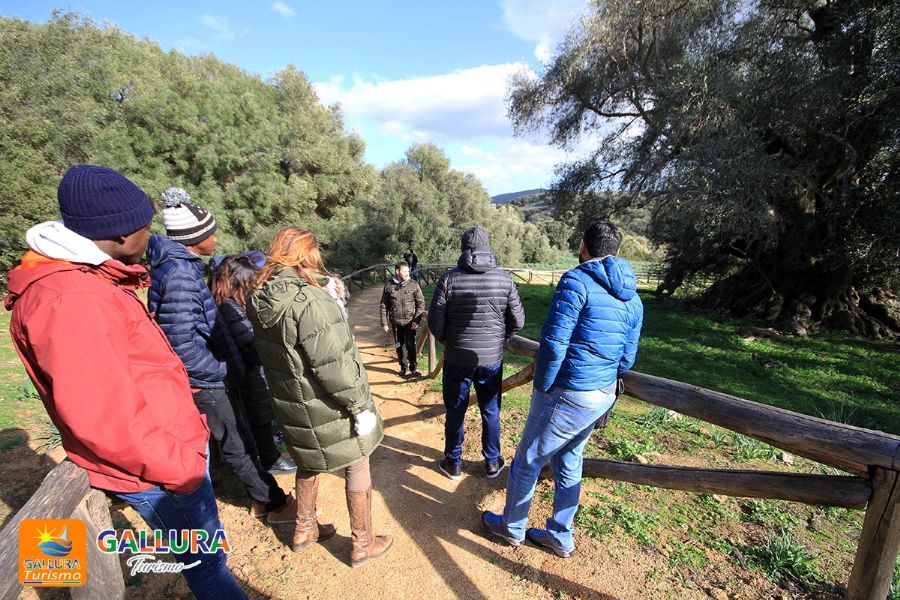 Educational Tour Gallura