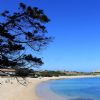 Bandiera Blu Gallura - Spiaggia Zia Culumba Capo Testa