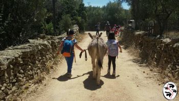 Asini si nasce… e io lo nakkui – Gallura