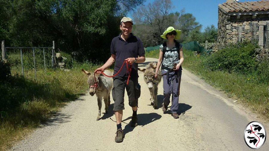 Asini si nasce - Gallura