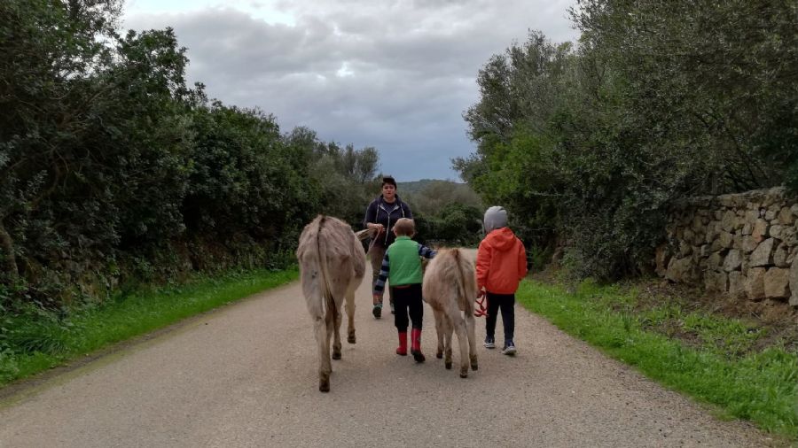 Asini si nasce - Gallura