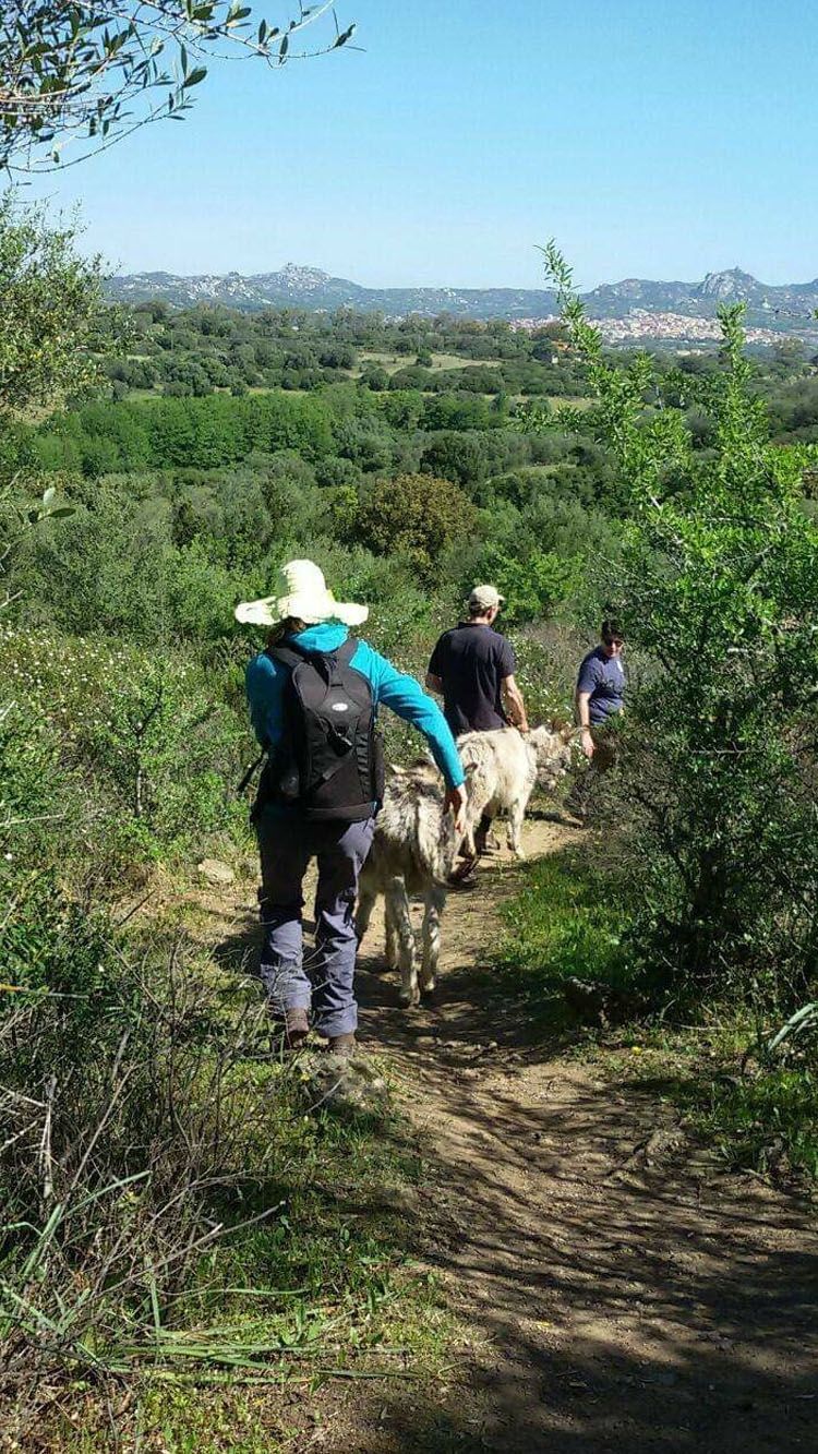 Asini si nasce - Gallura