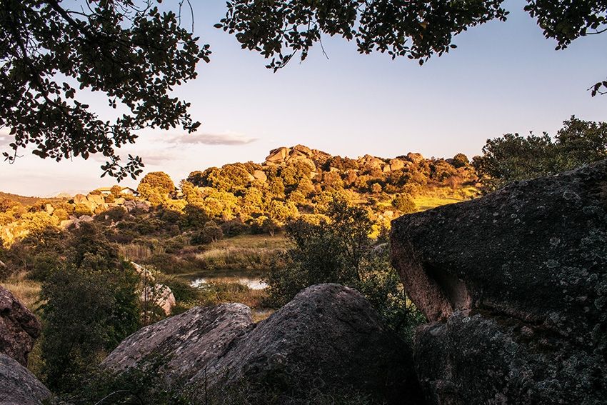 monte Pulchiana - Gallura Turismo