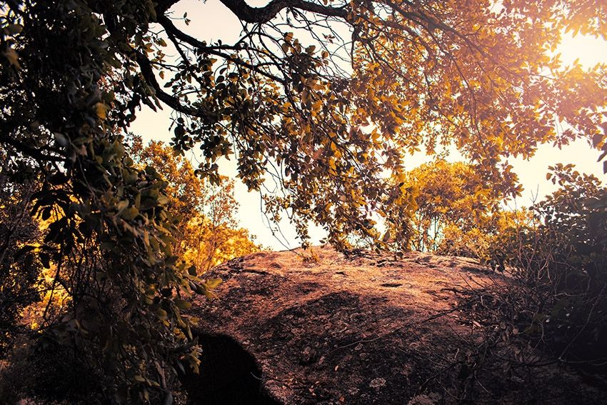 monte Pulchiana - Gallura Turismo