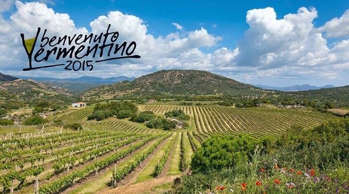 benvenuto Vermentino 2015