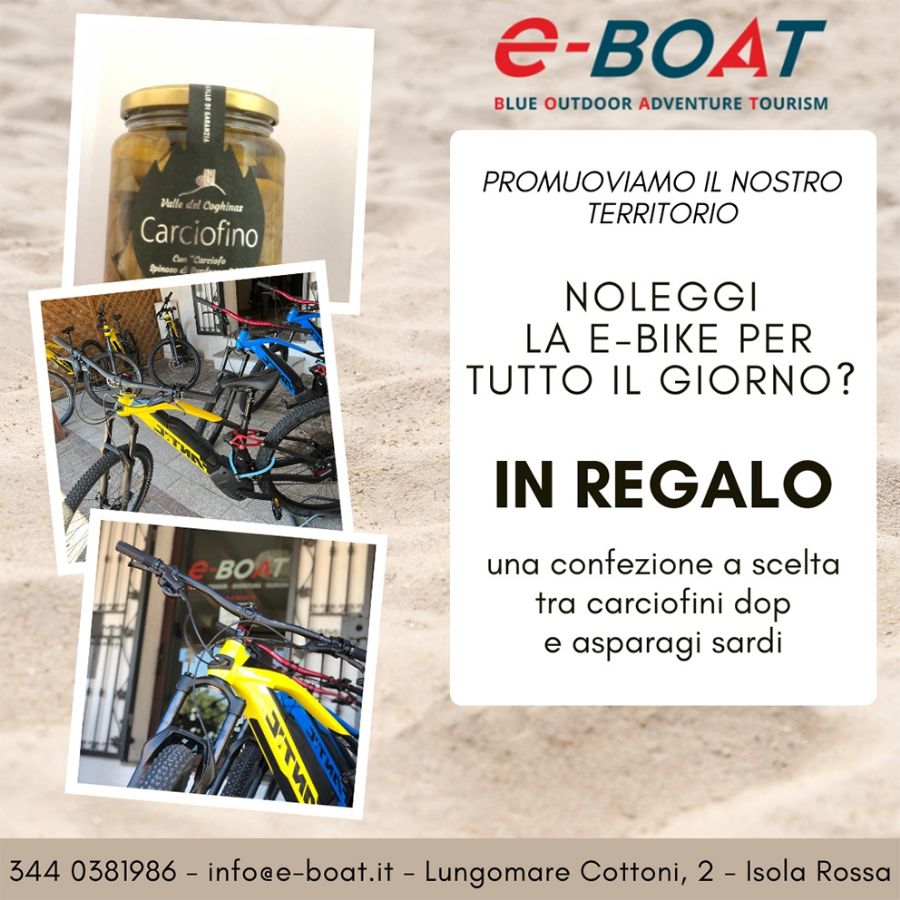 EBOAT noleggio ebike