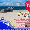 Pacchetto Vacanza Pasqua con traghetto