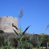 Torre Longosarda- Santa Teresa Gallura