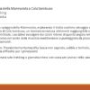 Escursione a Marmorata
