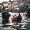 No Limits Center Diving Mediterraneo