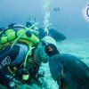 Diving Santa Teresa Gallura