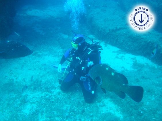 Diving Santa Teresa Gallura